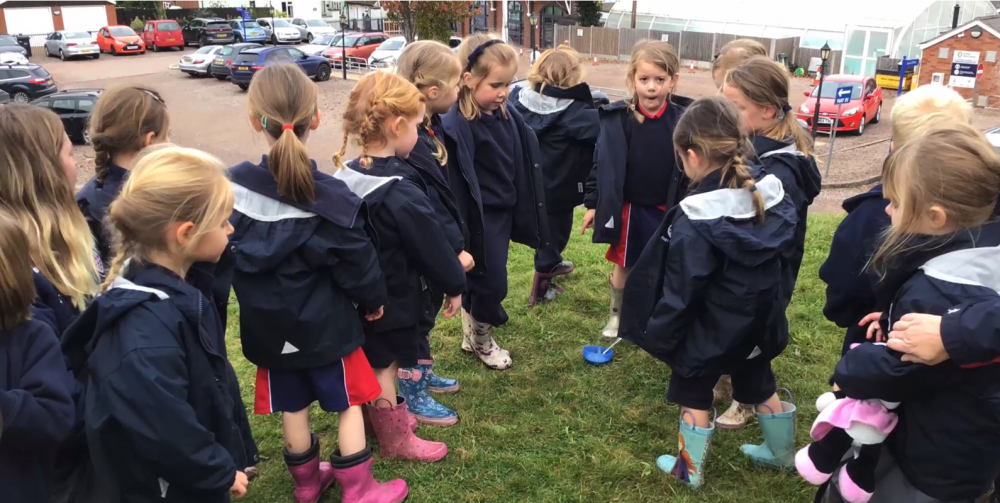 King's Hawford Reception Goldilocks search