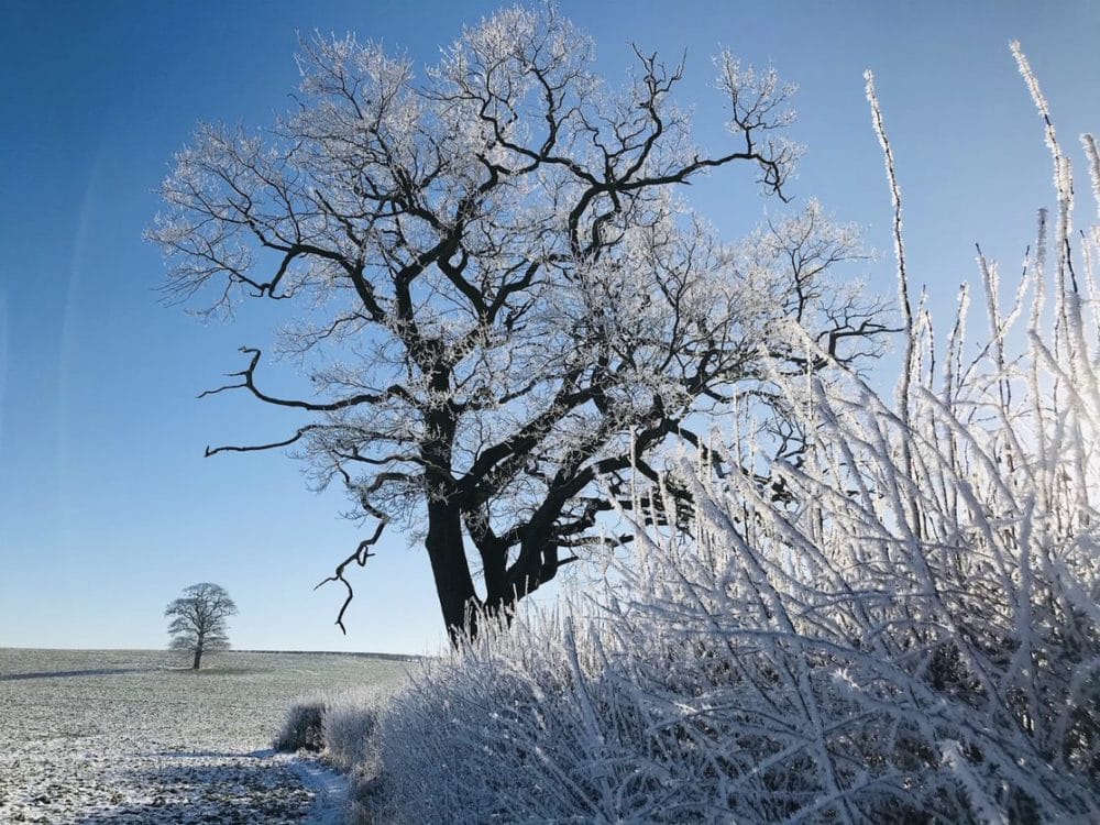 Lower Years Photography competition 2021