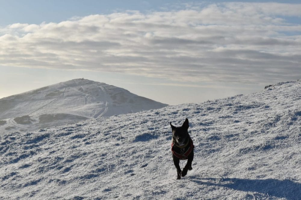 Lower Years Photography competition 2021 2