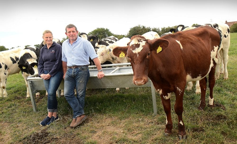 Will and Gillian Kerton and their Churchfields cows