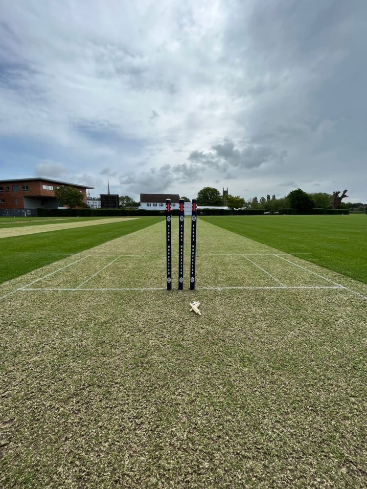 Success for U15 Cricketers in T20 Cups