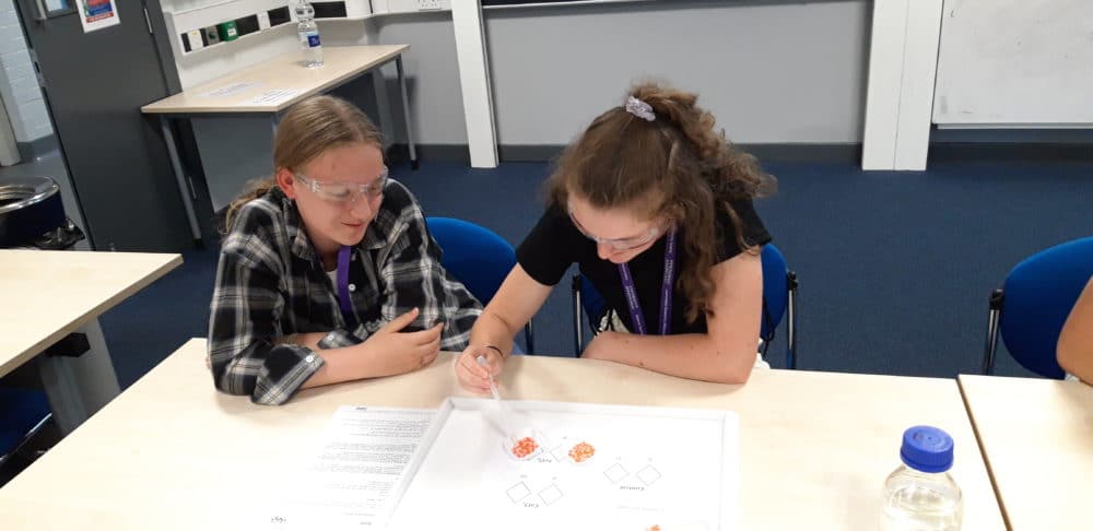 King's Worcester pupils enjoy STEM Discovery Day
