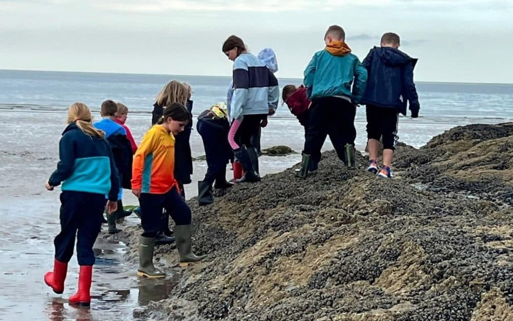 Year 4 visit Broad Haven