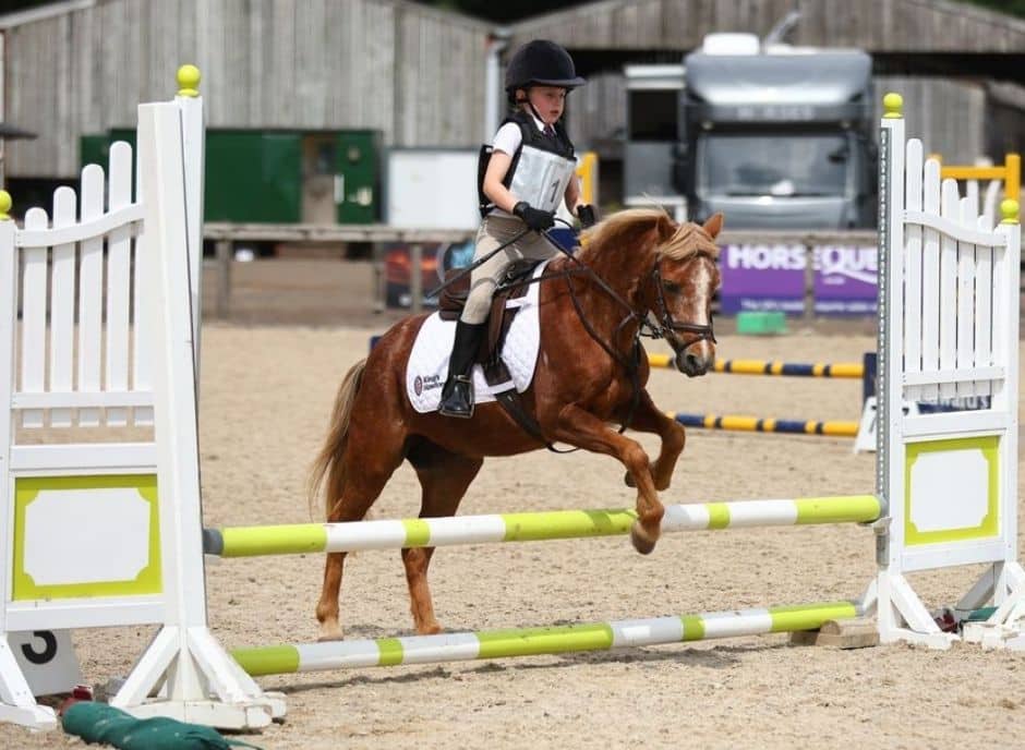 Hawford Equestrian Team