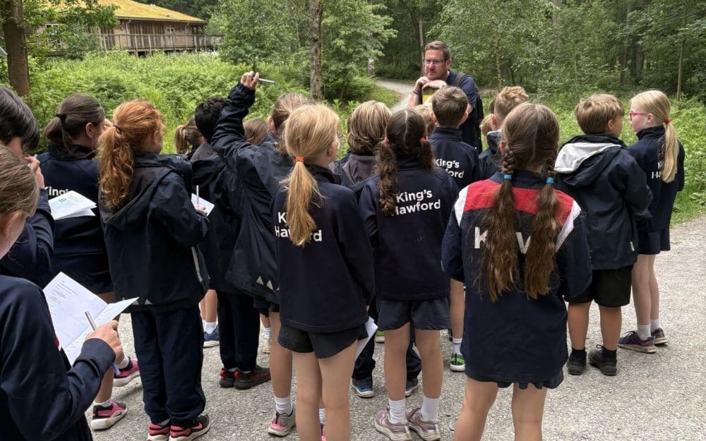Year 4 visit the Wyre Forest
