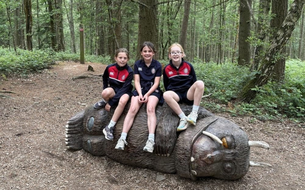 Year 4 visit the Wyre Forest