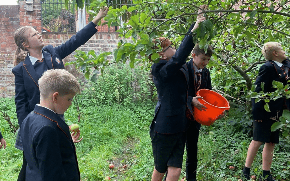 Eco Committee Autumn 2026 (2)